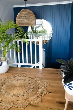 a living room with blue walls and wooden flooring next to a potted plant