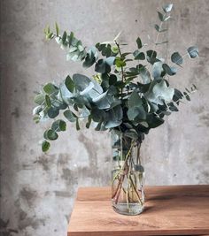 a vase filled with green leaves on top of a wooden table