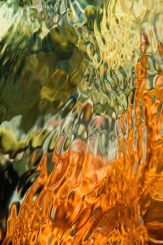 an orange and green substance is seen in the water