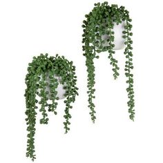 two white vases filled with green plants on top of each other and hanging from the wall