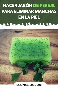 a green soap bar sitting on top of a wooden table next to a leafy plant