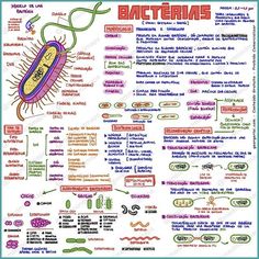 a diagram of the cell and its functions in an animal's life cycle, with text