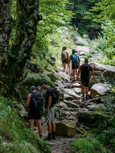 several people hiking up a rocky trail in the woods