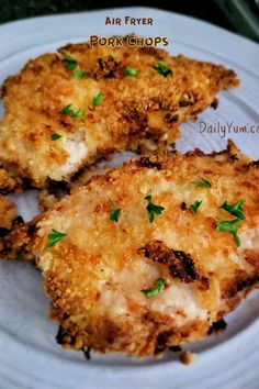 three pieces of fried chicken on a white plate with parsley sprinkles