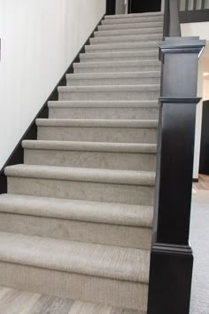 the carpeted stairs are lined with black posts