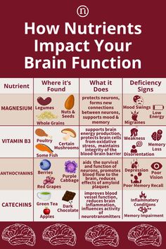 How Nutrients Impact Your Brain Function Improving Memory, Brain Nutrition, Nutrition Chart, Food Health Benefits, Nutrition Science, The Mediterranean Diet, Improve Brain Function, Health Management, Healthy Brain