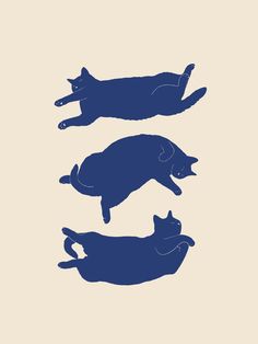 three silhouettes of cats in different positions on a beige background, one is black and the other is blue