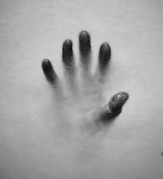 a black and white photo of an animal's paw