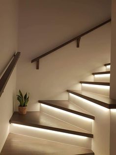 some stairs with lights on them and a potted plant