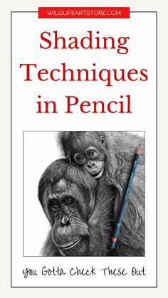 How to Draw Realistically: Shading Techniques in Pencil Realistic Pencil Drawings For Beginners, How To Use Graphite Pencils, Drawing Tips Realism, Realistic Pencil Drawings Step By Step, Realistic Graphite Pencil Drawings, Graphite Drawings Realistic, Graphite Drawings Ideas, Draw Proportions, Drawing Techniques For Beginners