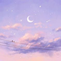 two birds sitting on power lines in front of the sky with stars and moon above them