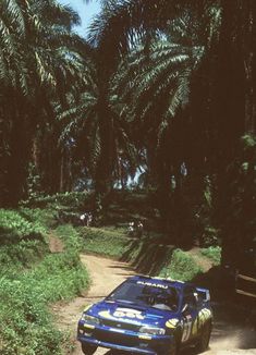 a blue car driving down a dirt road next to palm tree lined forest on both sides