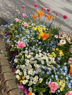 a bunch of flowers that are sitting in the grass near some bricks and pavements