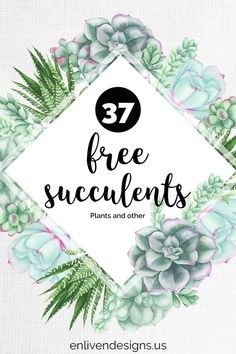 plants and succulents with the words 37 free succulents on it