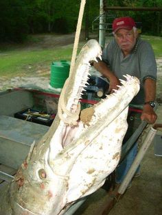 a man is holding an alligator in his hand and it's teeth are open