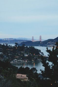 a view of the golden gate bridge at night from atop a hill in san francisco, california