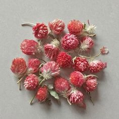 small red and white flowers sitting on top of a gray surface with one flower in the middle