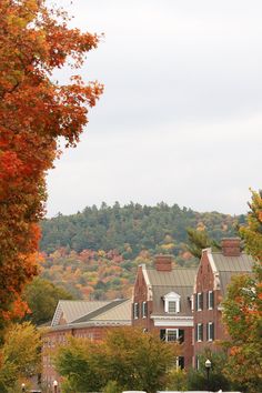 an image of a campus setting in the fall