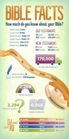 the bible's most important things to know about your bible infographical poster