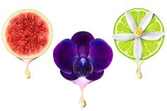 three different types of flowers and fruit on a white background, one is purple the other is green