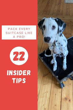 a dalmatian puppy sitting on top of an open luggage bag with the words 22 insider tips