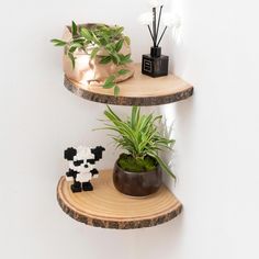 two wooden shelves with plants and decorations on them