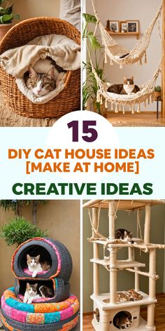 the top 15 diy cat house ideas to make at home that are great for cats