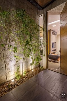 an open door leading into a room with plants growing on the wall and wood flooring