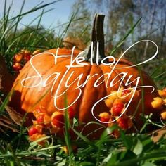 an orange pumpkin sitting in the grass with words hello saturday on it's side