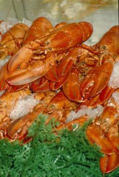 several cooked lobsters on ice in a display case