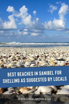 Best Beaches in Sanibel for Shelling as Suggested by Locals Sanibel Island Beaches, Christmas Family Vacation, Sanibel Florida, Beach Road Trip, Sanibel Island Florida