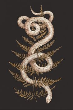 a drawing of a snake on a black background