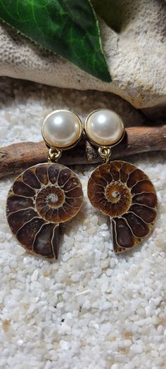 Ammonite Jewelry, Fossil Earrings, Opal Jewelry Set, Stone Necklaces, Fossil Jewelry, Ammonite Fossil, Future Wardrobe, Wooden Barrel, Green Jasper