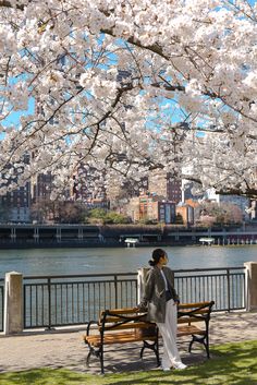 a woman sitting on a park bench next to the water with cherry blossom trees in bloom