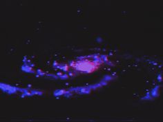 an image of two spirals in the dark with blue and pink lights on them