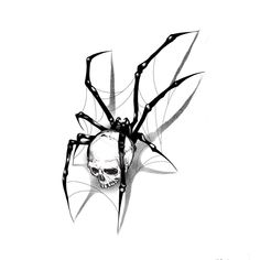 a black and white drawing of a spider with a skull on it's back