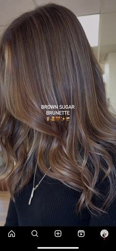 Flat Brown Hair Color, Fall Hair Brunette 2024, Chocolate Brown Hair Babylights, Caramel Hilites On Dark Hair, Beige Brown Hair With Highlights, Blonde Highlights With Dark Eyebrows, Honey Brunette Hair Color, Cool Brown Balayage Hair, Balayage Dark Brown Hair Straight