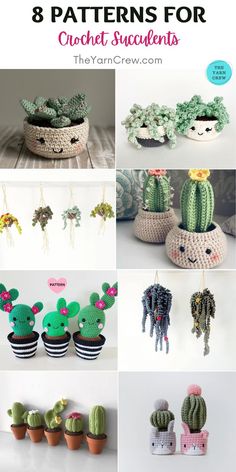 crochet cactus planters with text overlay that says 8 patterns for cacti succulents