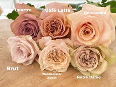 the different types of flowers are labeled in this image, including pinks and browns