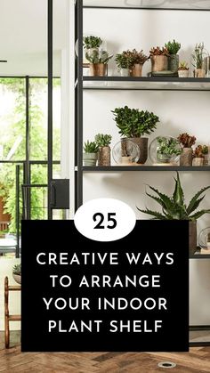 a shelf filled with plants and potted plants next to a glass door that reads 25 creative ways to arrange your indoor plant shelf