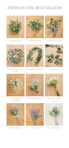 the different types of flowers are shown in this page