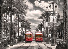 two red trains on tracks next to palm trees and street lights in black and white