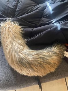 a cat laying on top of a couch next to a book case and pillow with its tail curled up