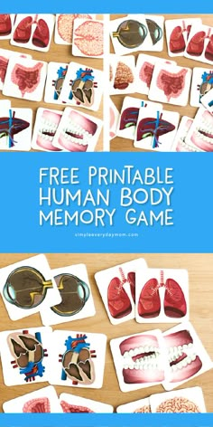 the printable human body memory game is displayed on a table with several different pictures