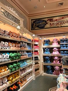 a store filled with lots of different kinds of stuffed animals on shelves next to each other