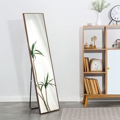 a tall mirror sitting next to a book shelf on top of a carpeted floor