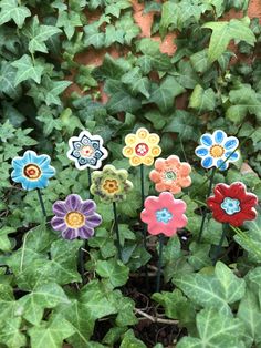 several colorful flowers are growing in the grass