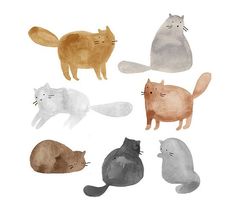 an image of cats that are in the same color and size as each other on a white background