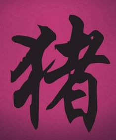 chinese calligraphy written in two different languages on a pink background with the word sister pooh