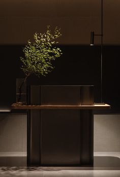 a plant in a vase on top of a wooden table next to a black wall